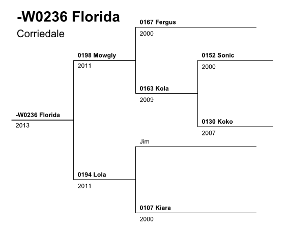 Example pedigree information over three generations